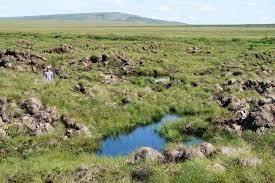 Greenhouse gas Beaver Arctic